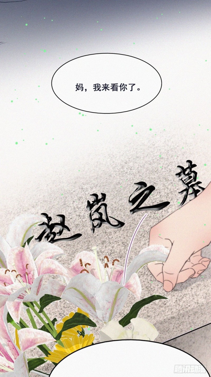《逆袭之好孕人生》第62话 瞿城初见岳母 第28页