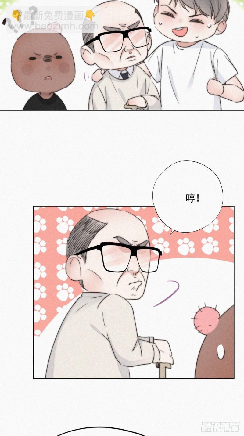 《逆袭之好孕人生》第64话 妈妈遗愿 第13页