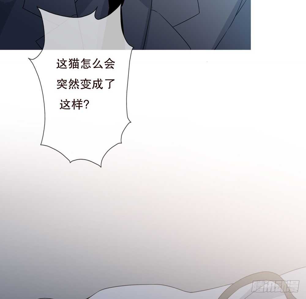 《人皮衣裳》第五季诡异 第28页