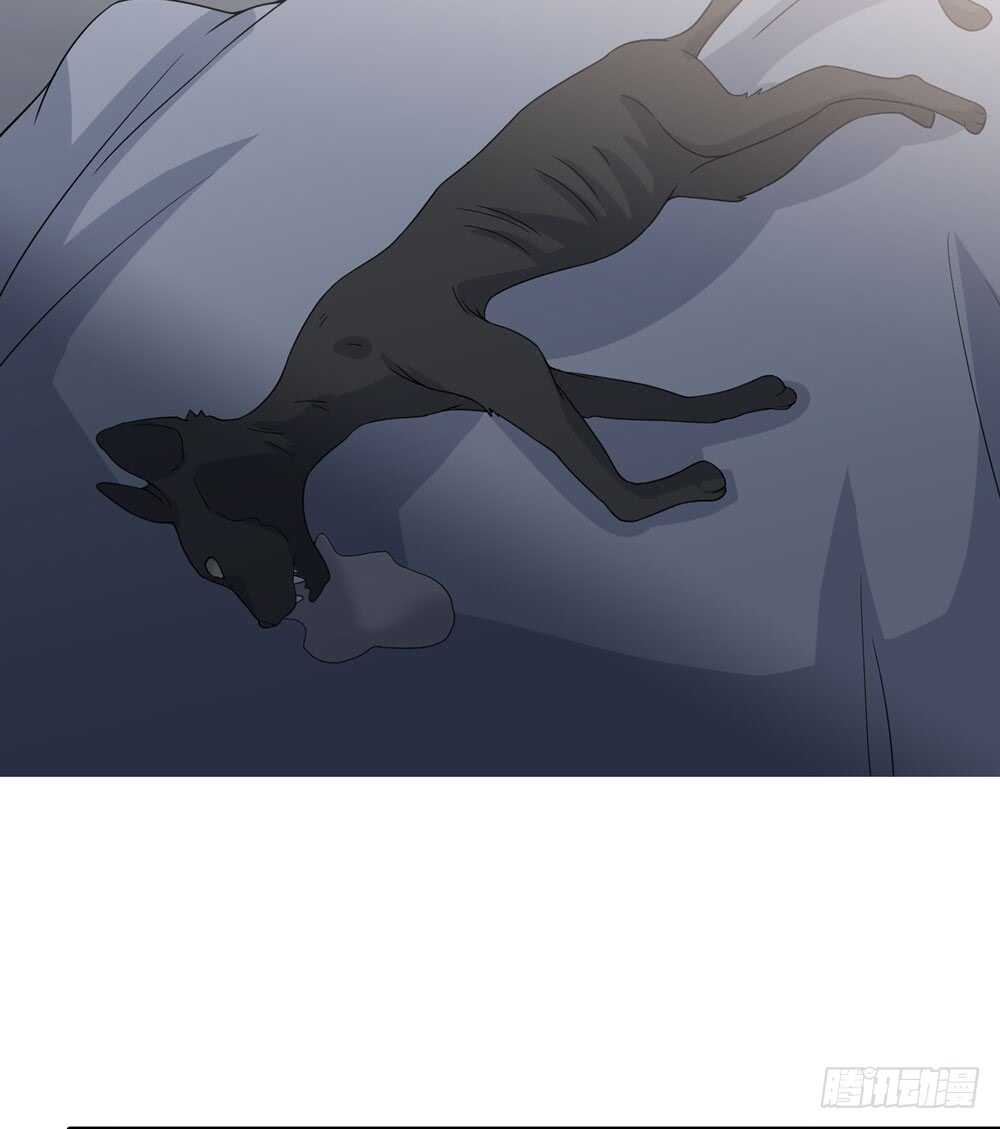 《人皮衣裳》第五季入局 第29页