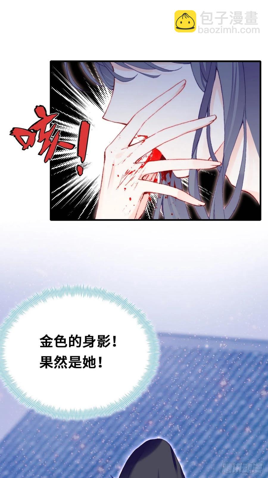 《你马甲掉了，幽皇陛下》49、初见 第17页