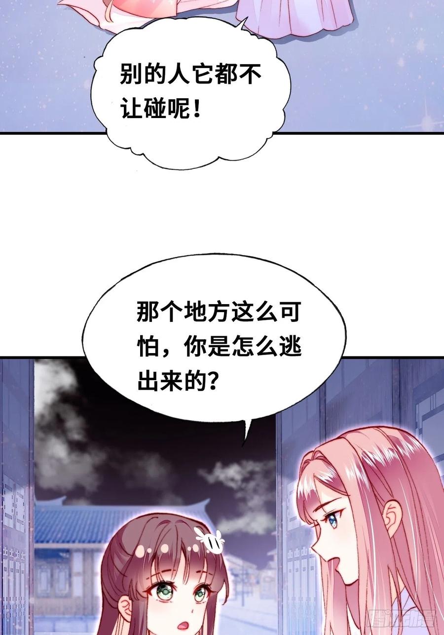 《你马甲掉了，幽皇陛下》46、蓝姑娘与阮公子 第38页