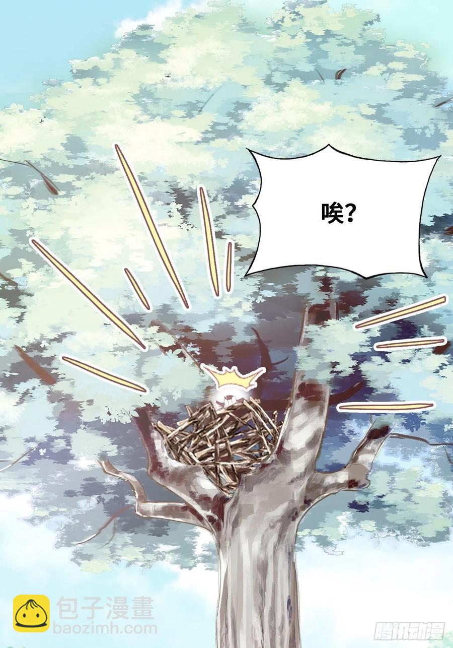 《你马甲掉了，幽皇陛下》55、告白 第12页