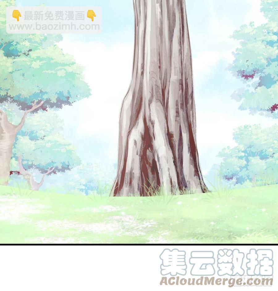 《你马甲掉了，幽皇陛下》55、告白 第13页