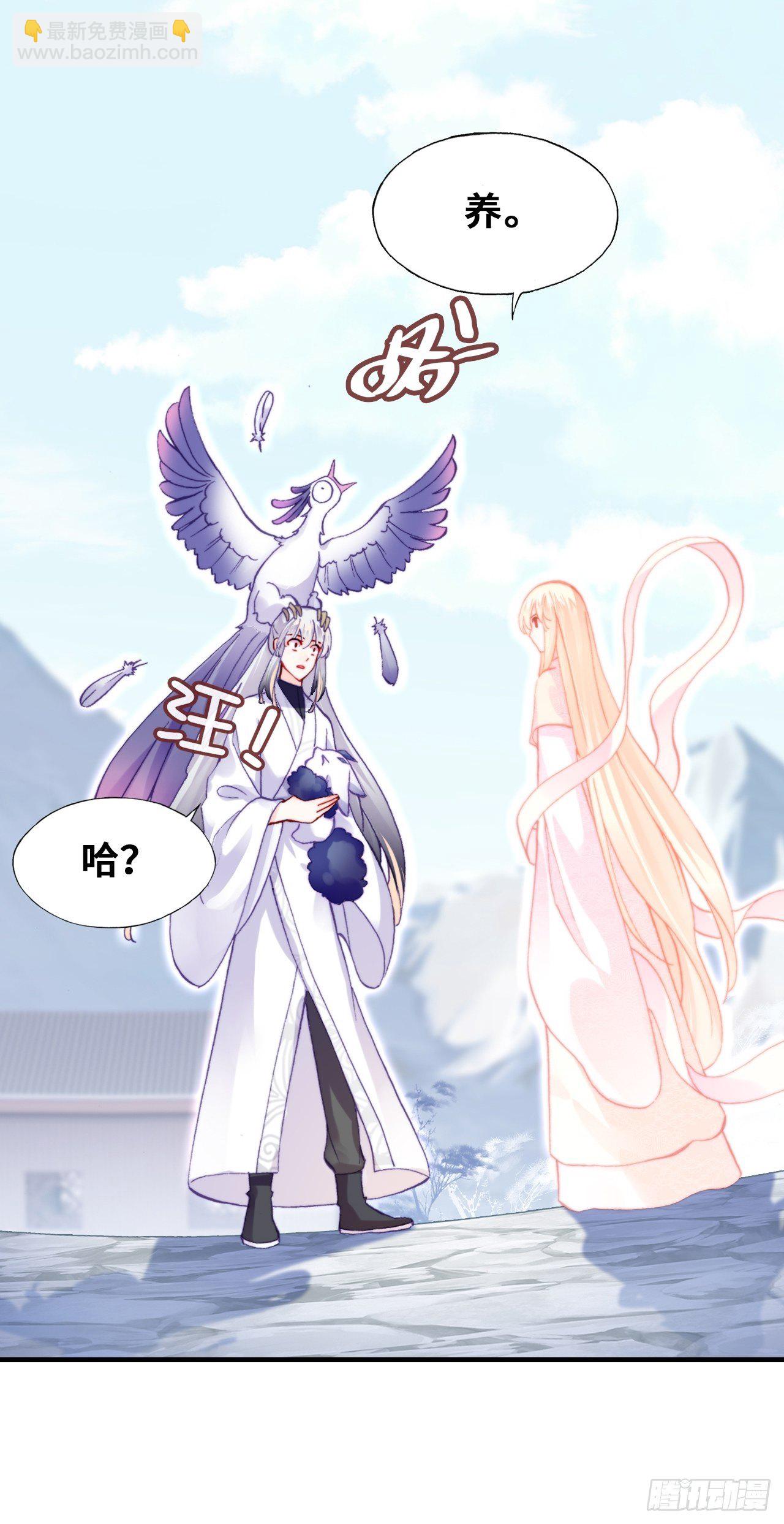 《你马甲掉了，幽皇陛下》70、仙与凡 第19页