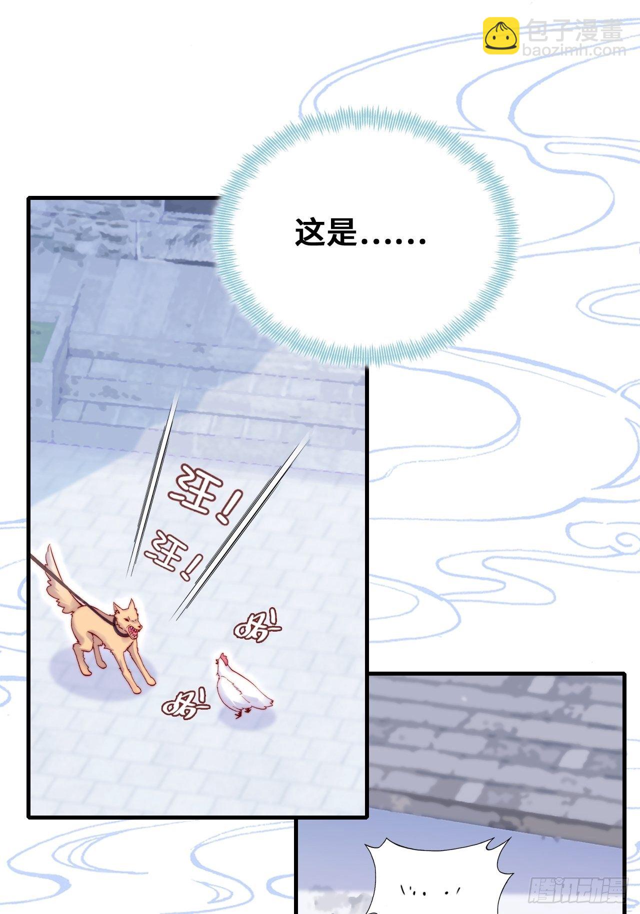 《你马甲掉了，幽皇陛下》70、仙与凡 第31页
