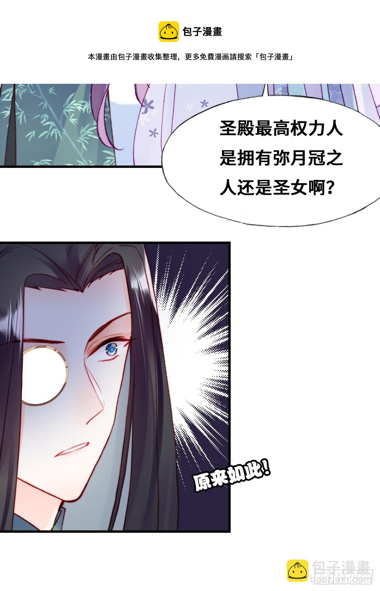 《你马甲掉了，幽皇陛下》82、圣殿权力者 第13页