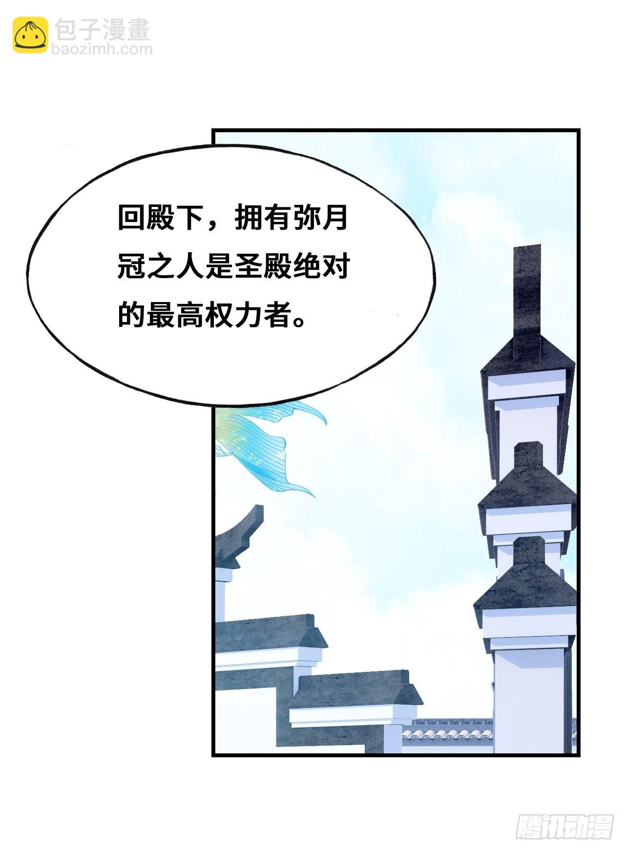 《你马甲掉了，幽皇陛下》82、圣殿权力者 第14页