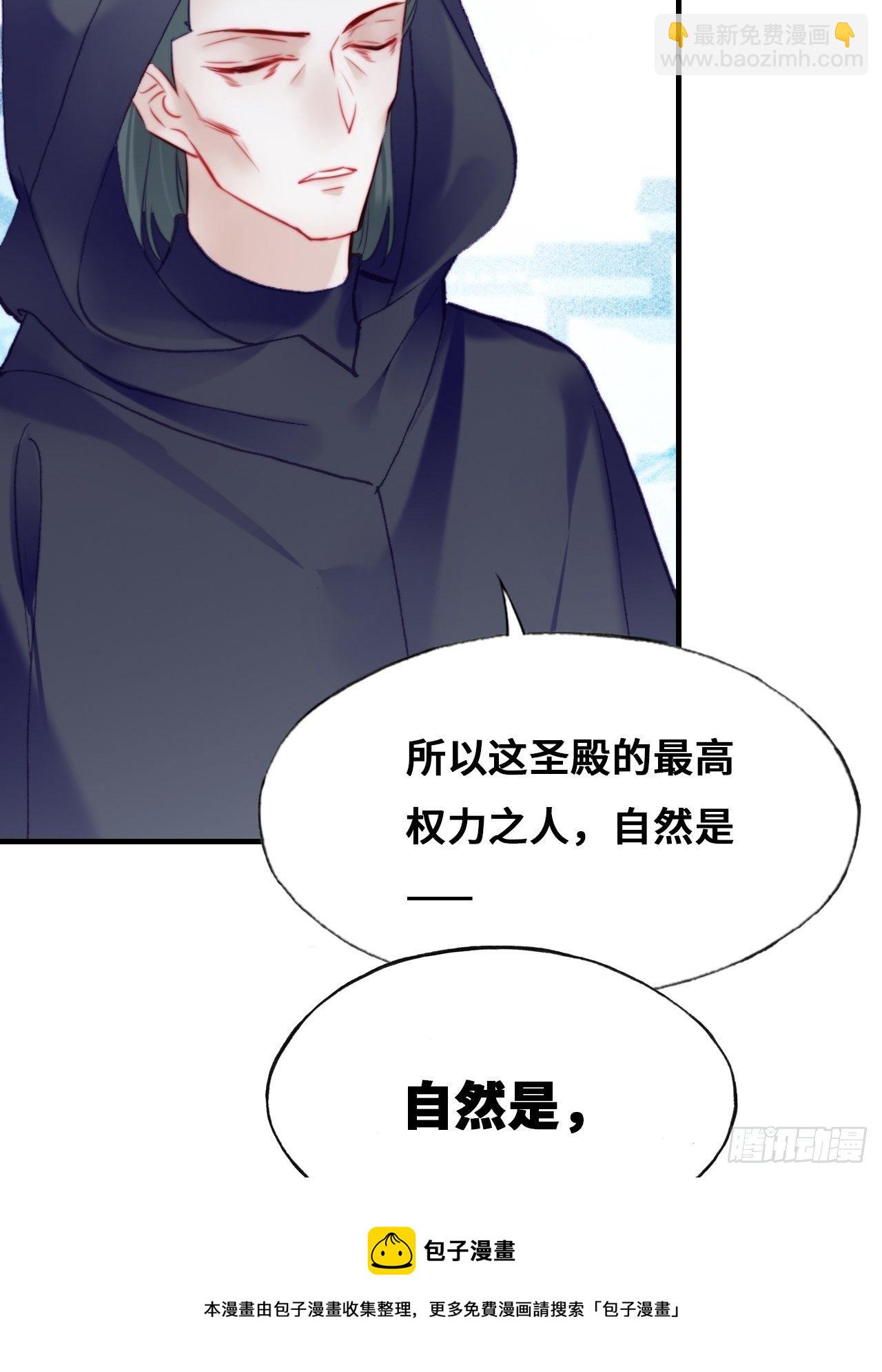 《你马甲掉了，幽皇陛下》82、圣殿权力者 第17页