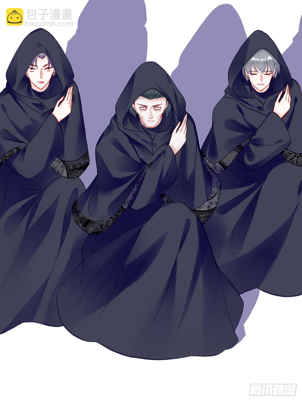 《你马甲掉了，幽皇陛下》82、圣殿权力者 第43页