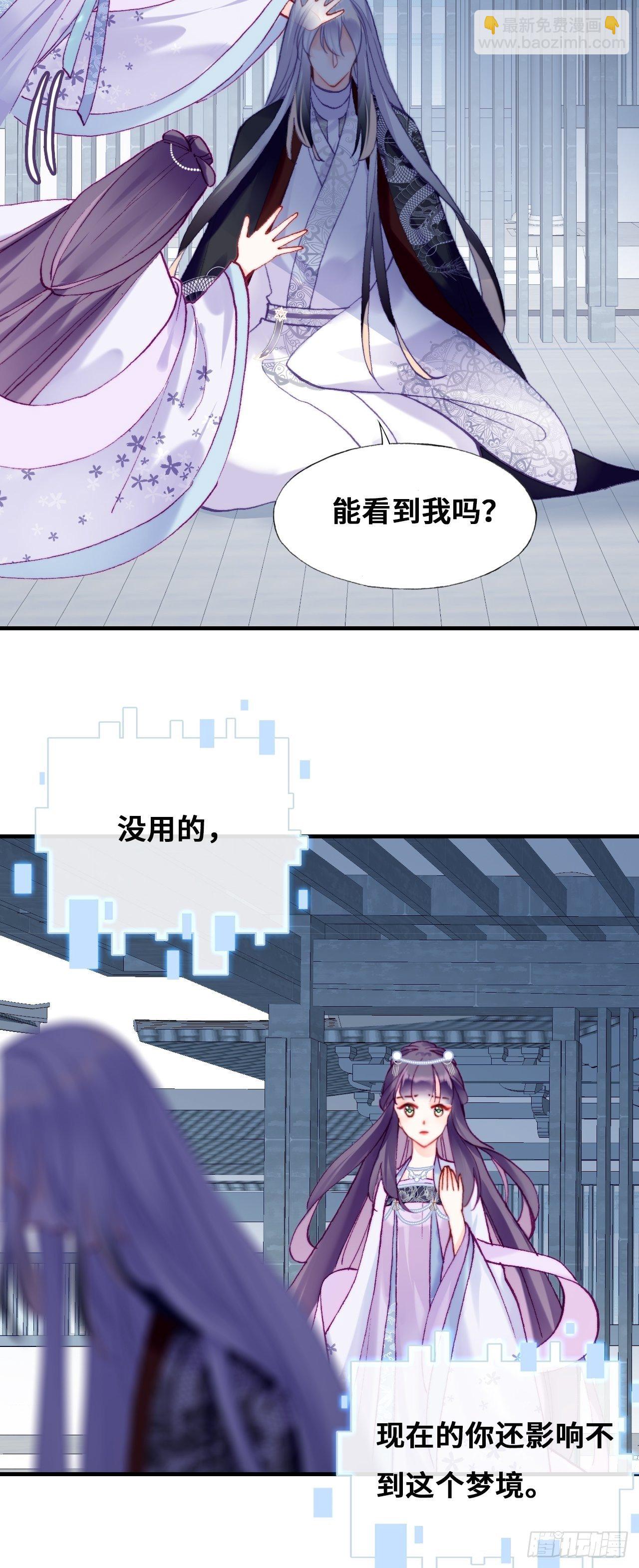 《你马甲掉了，幽皇陛下》85、问心阵 第30页