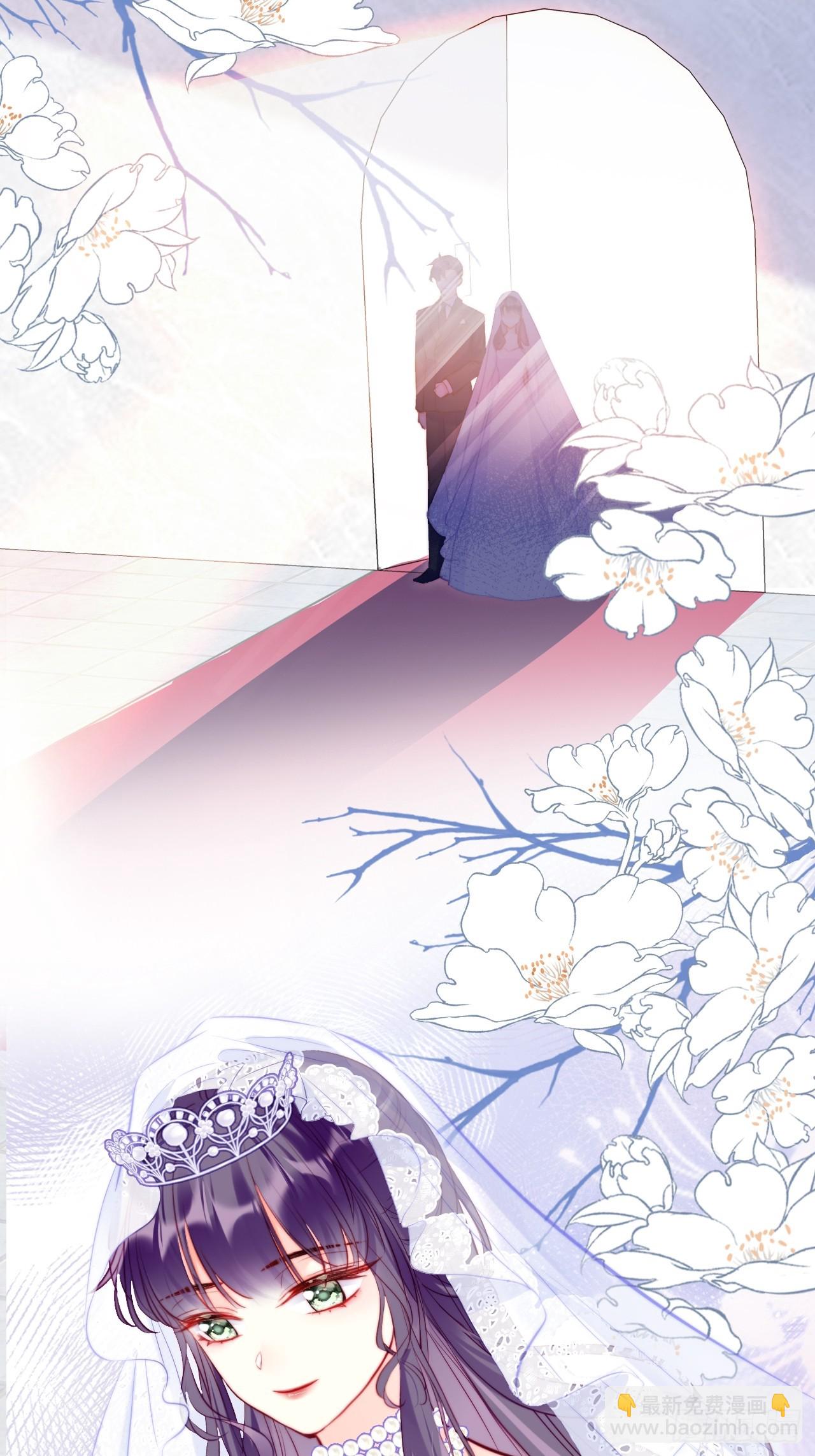 《你马甲掉了，幽皇陛下》番外大婚+新作宣传 第11页