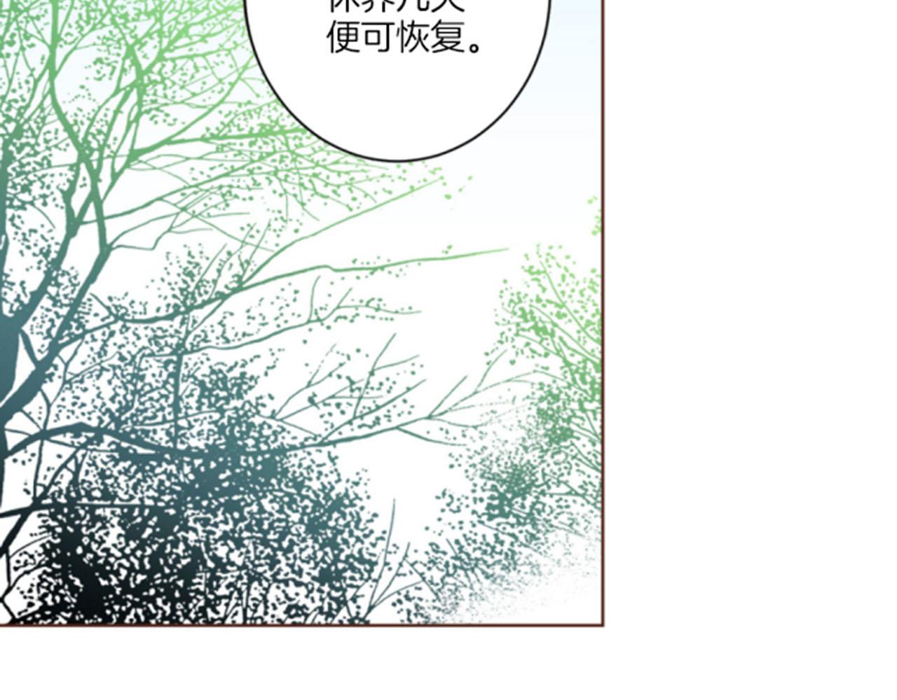 《雪中掉落的花》第79话 话中有话 第19页