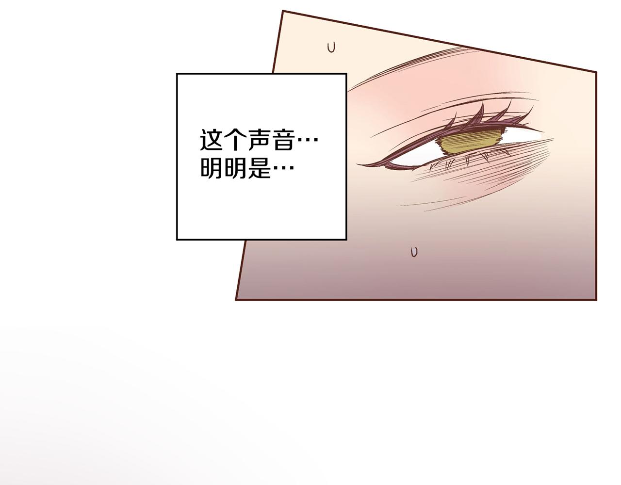 《雪中掉落的花》第90话 “猫”的真面目 第45页