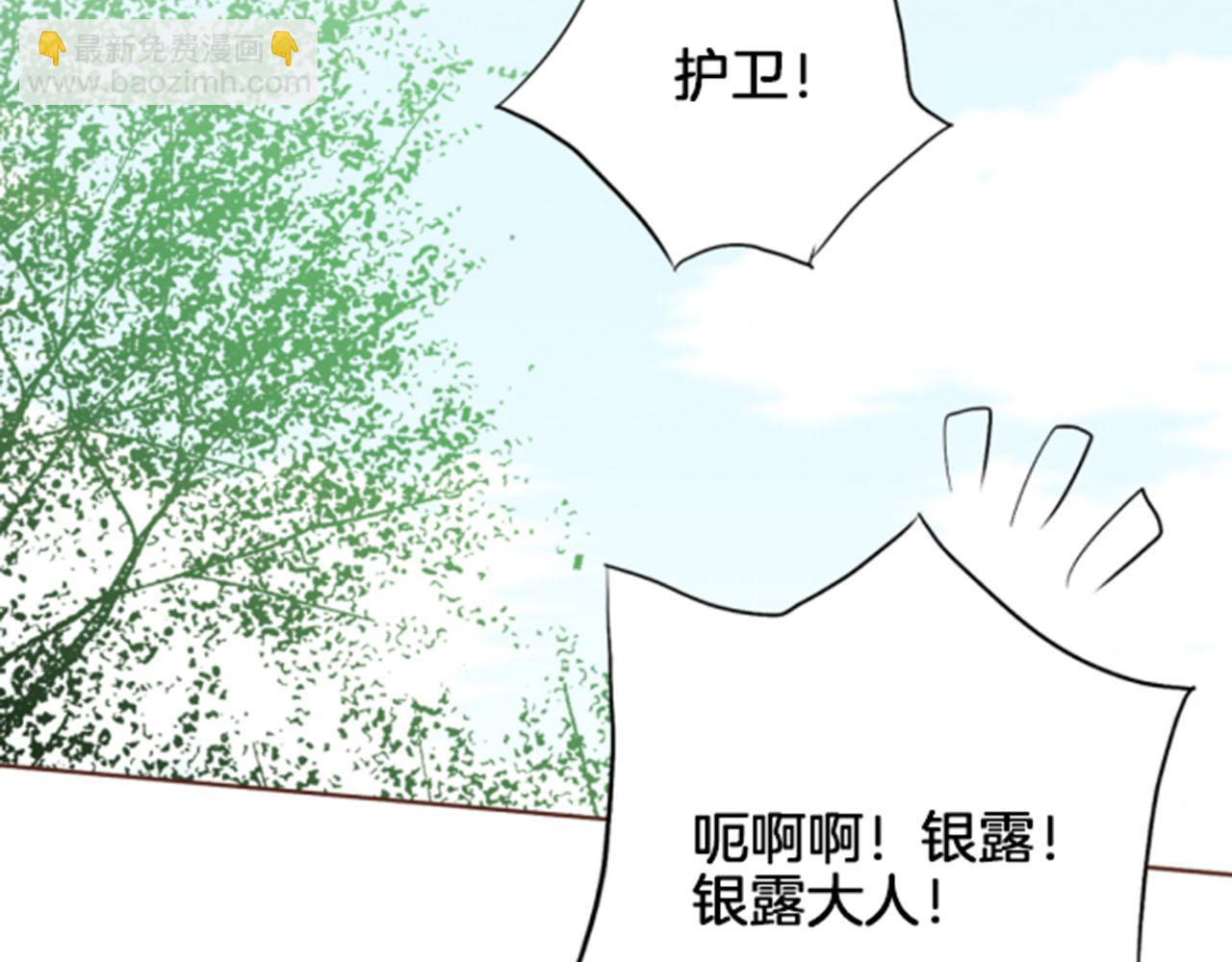 《雪中掉落的花》第119话 鸿妃的过去 第41页