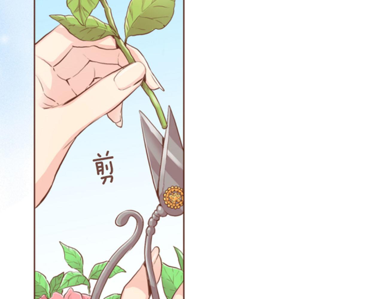 《雪中掉落的花》第119话 鸿妃的过去 第6页