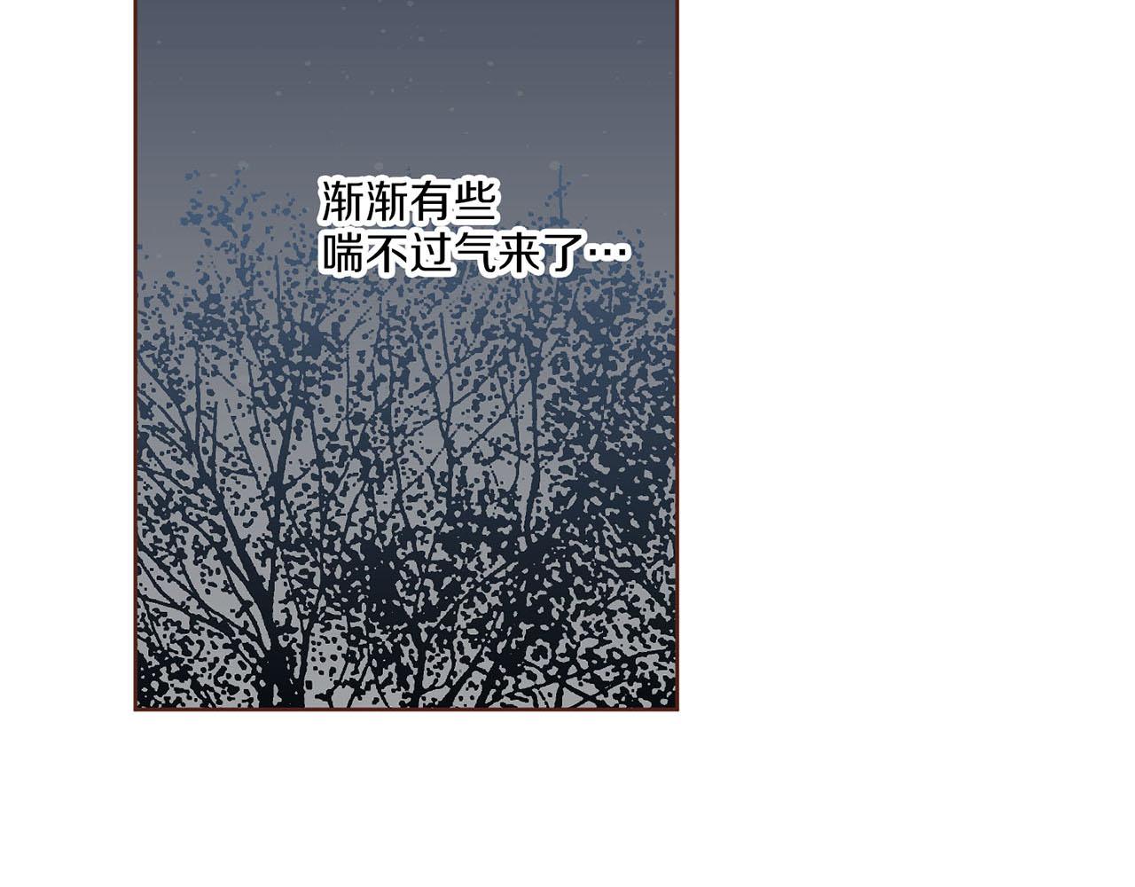 《雪中掉落的花》第193话 双胞胎兄弟的婚事 第8页