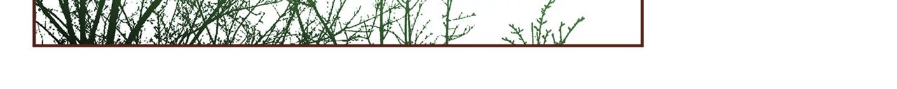 《雪中掉落的花》第226 宫女香格的真实身份 第45页
