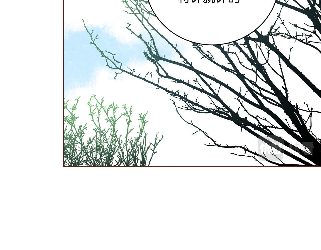 《雪中掉落的花》第231话 伪装的谎言 第14页