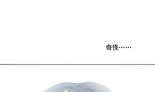 《拂晓的花嫁》第127话 同病相怜 7 第17页
