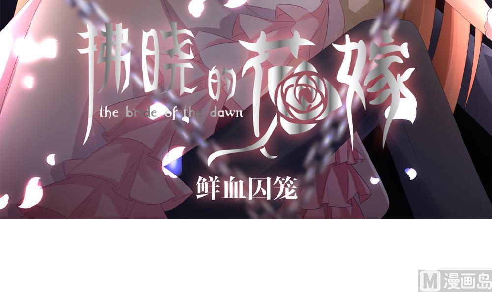 《拂晓的花嫁》第142话 鲜血囚笼 1 第3页