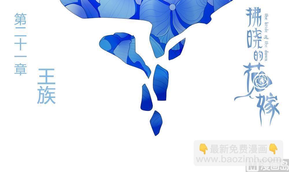 《拂晓的花嫁》第170话 王族 1 第3页