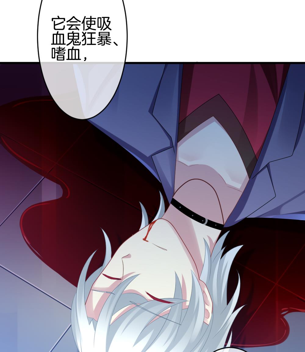 《拂晓的花嫁》第247话 爱与责任 1 第31页