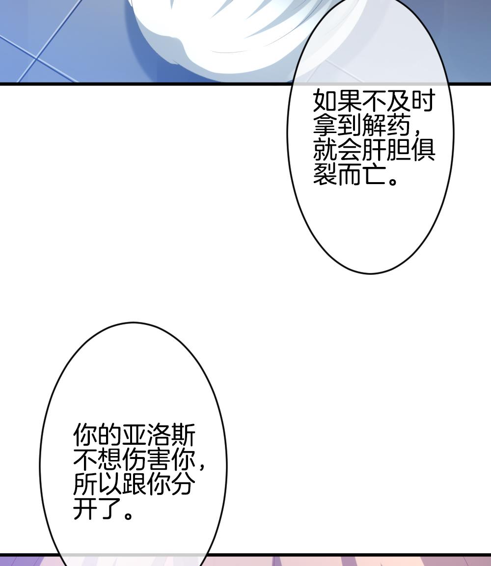 《拂晓的花嫁》第247话 爱与责任 1 第32页