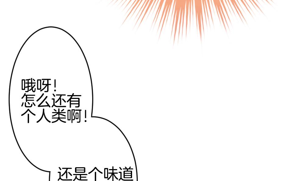 《拂晓的花嫁》第272话 跨越千年之人 9 第35页