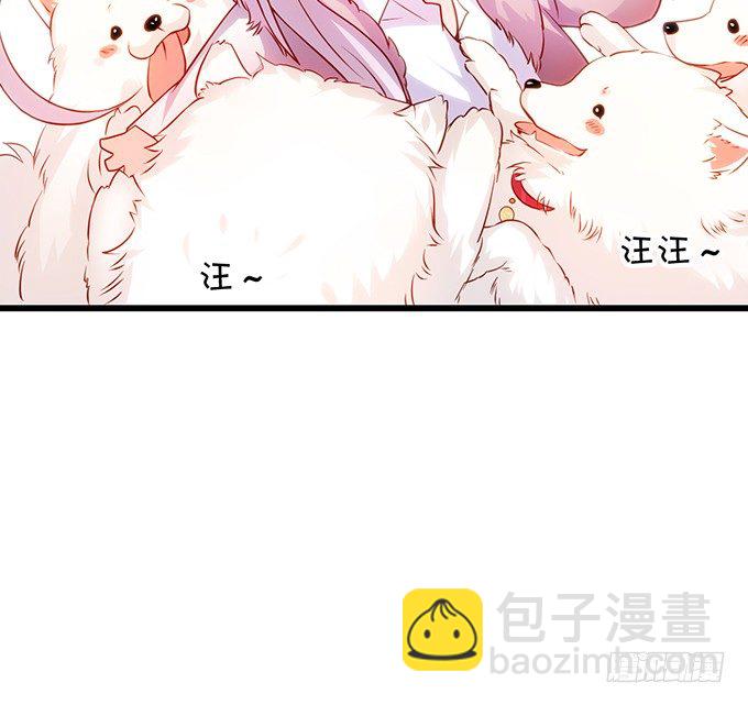 《这个保镖有点萌》二人的冰岛之旅 第25页