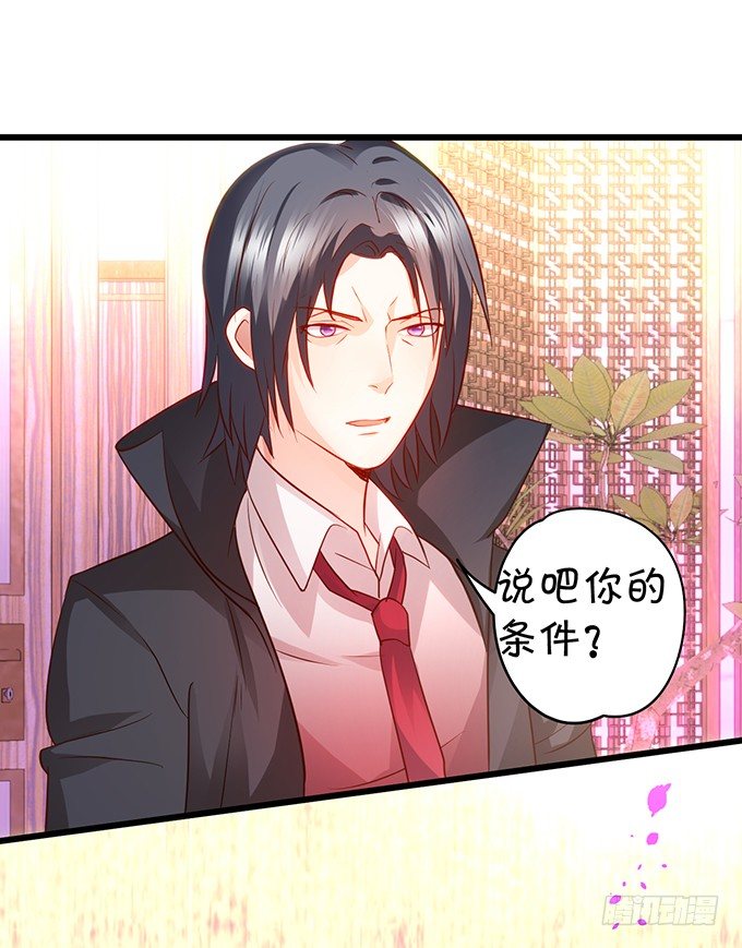 《这个保镖有点萌》小猫咪，我们又见面了 第14页