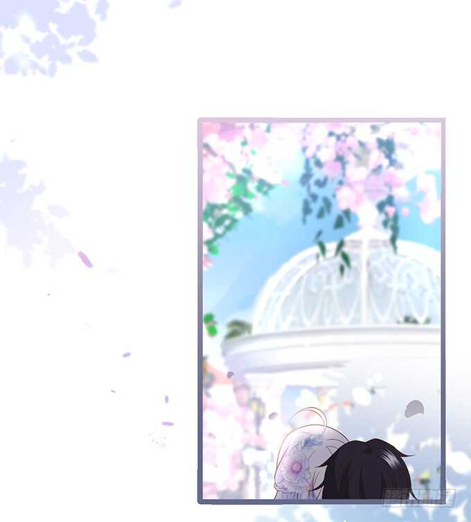 《这个保镖有点萌》阿绯凌夜终于结婚了 第29页
