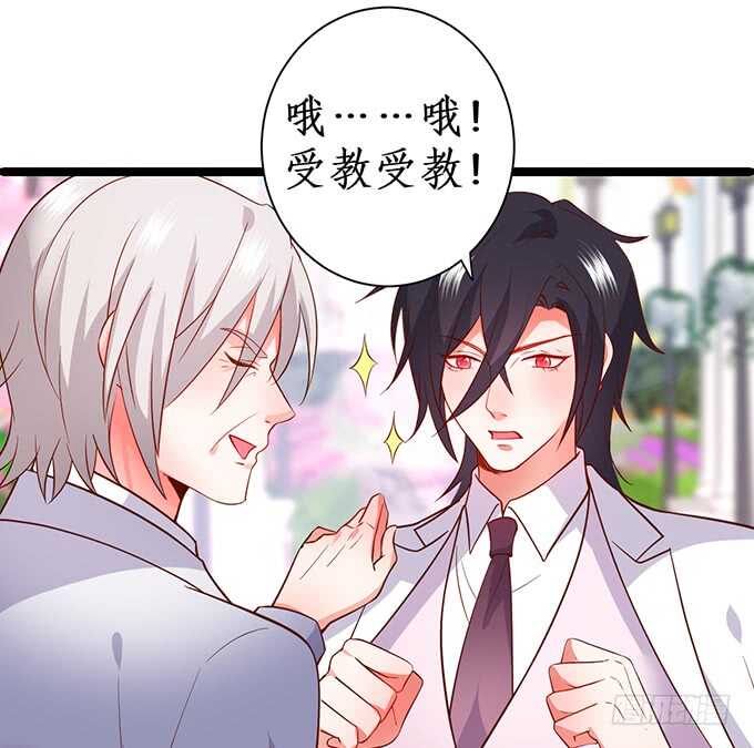 《这个保镖有点萌》阿绯凌夜终于结婚了 第44页