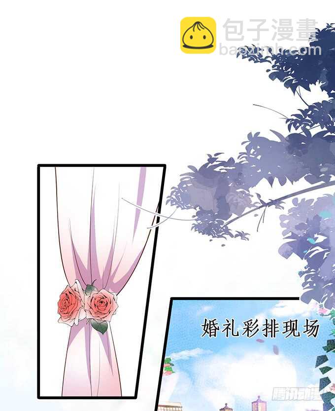 《这个保镖有点萌》阿绯凌夜终于结婚了 第5页