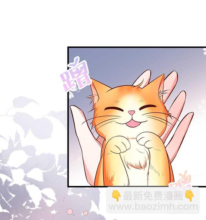 《这个保镖有点萌》最后的温存…… 第40页