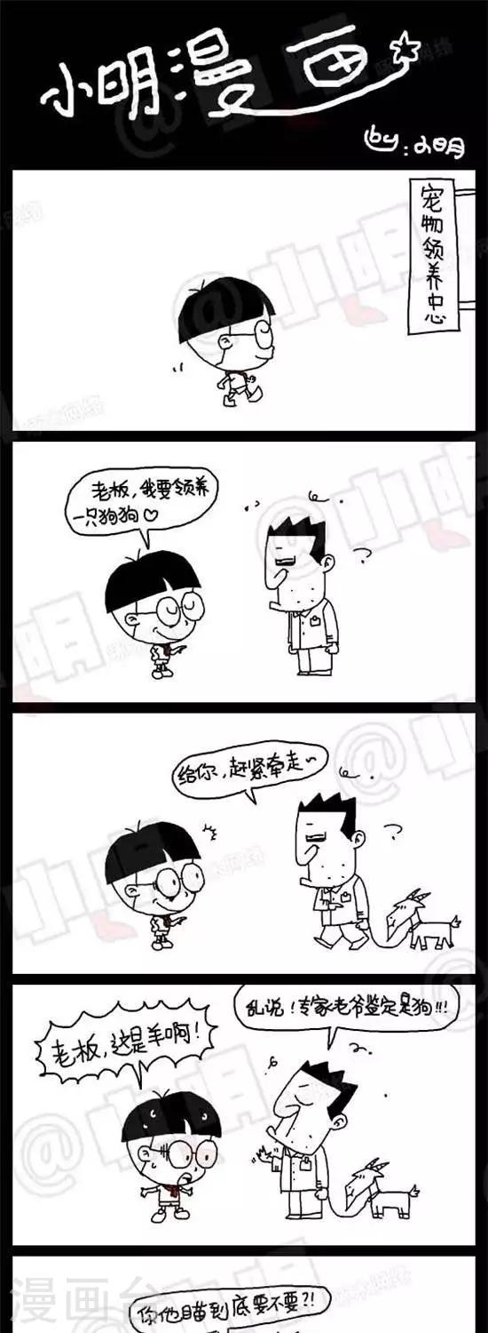 《小明漫画》第十九话专家篇——指鹿为马 第1页
