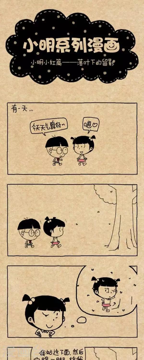 《小明漫画》第278话落叶下的留影 第1页