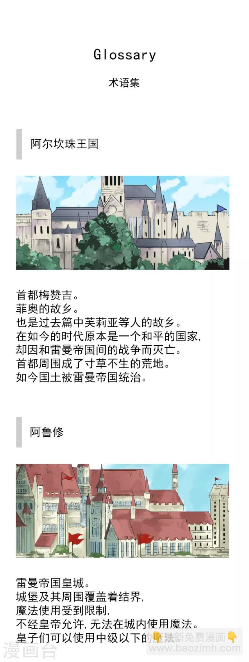 《他和她的魔法契约》第110话 珍视之物 第40页