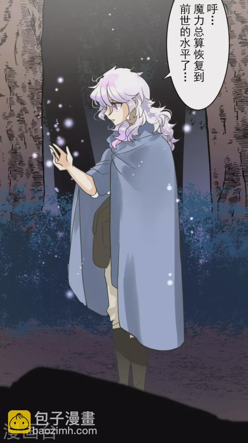 《他和她的魔法契约》第216话 过去篇30 第4页