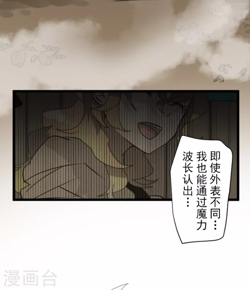 《他和她的魔法契约》第243话 阿尔坎珠的真实 第46页