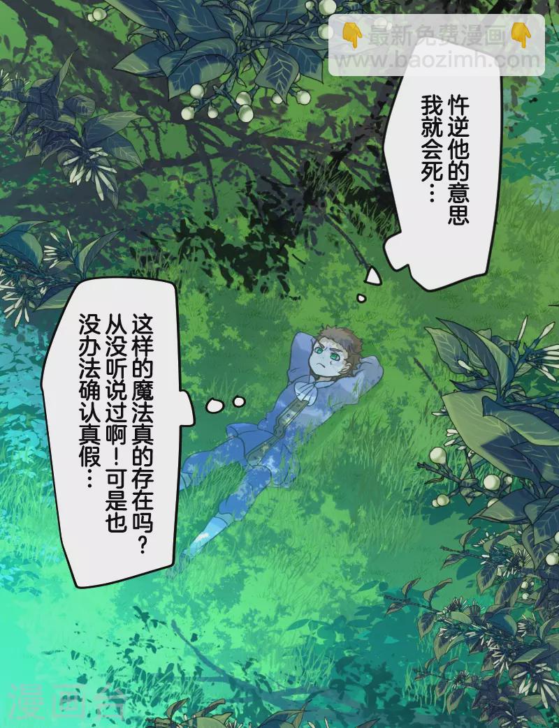《他和她的魔法契约》第260话 过去篇38 第13页
