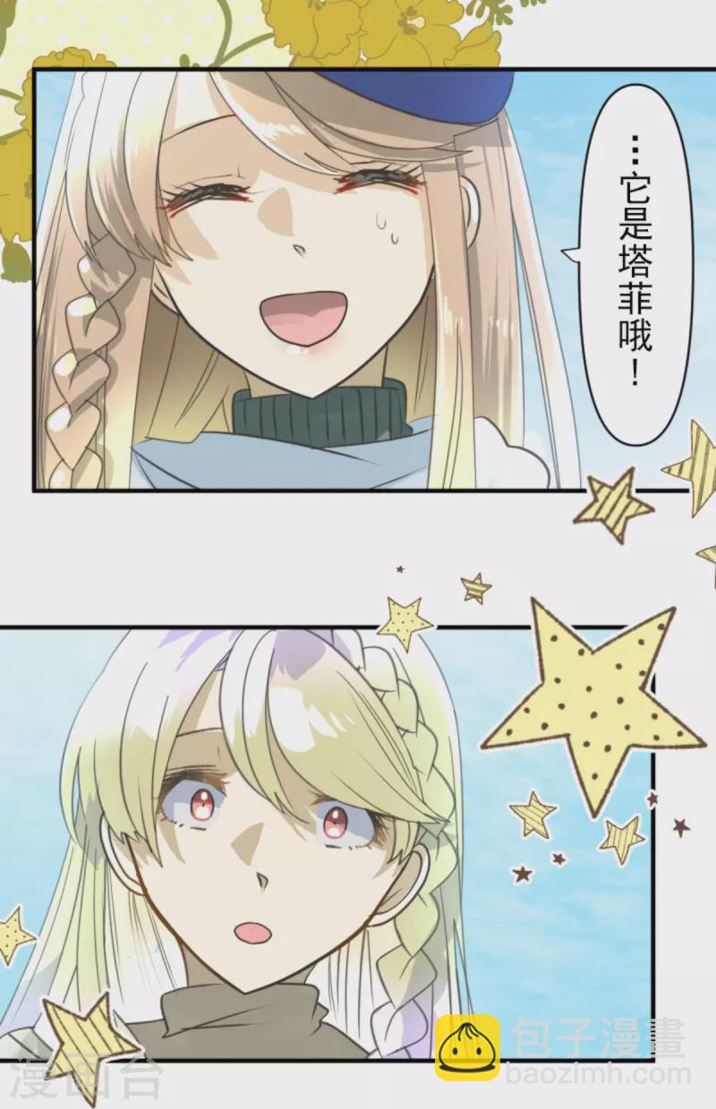 《他和她的魔法契约》第272话 强者的定义 第15页