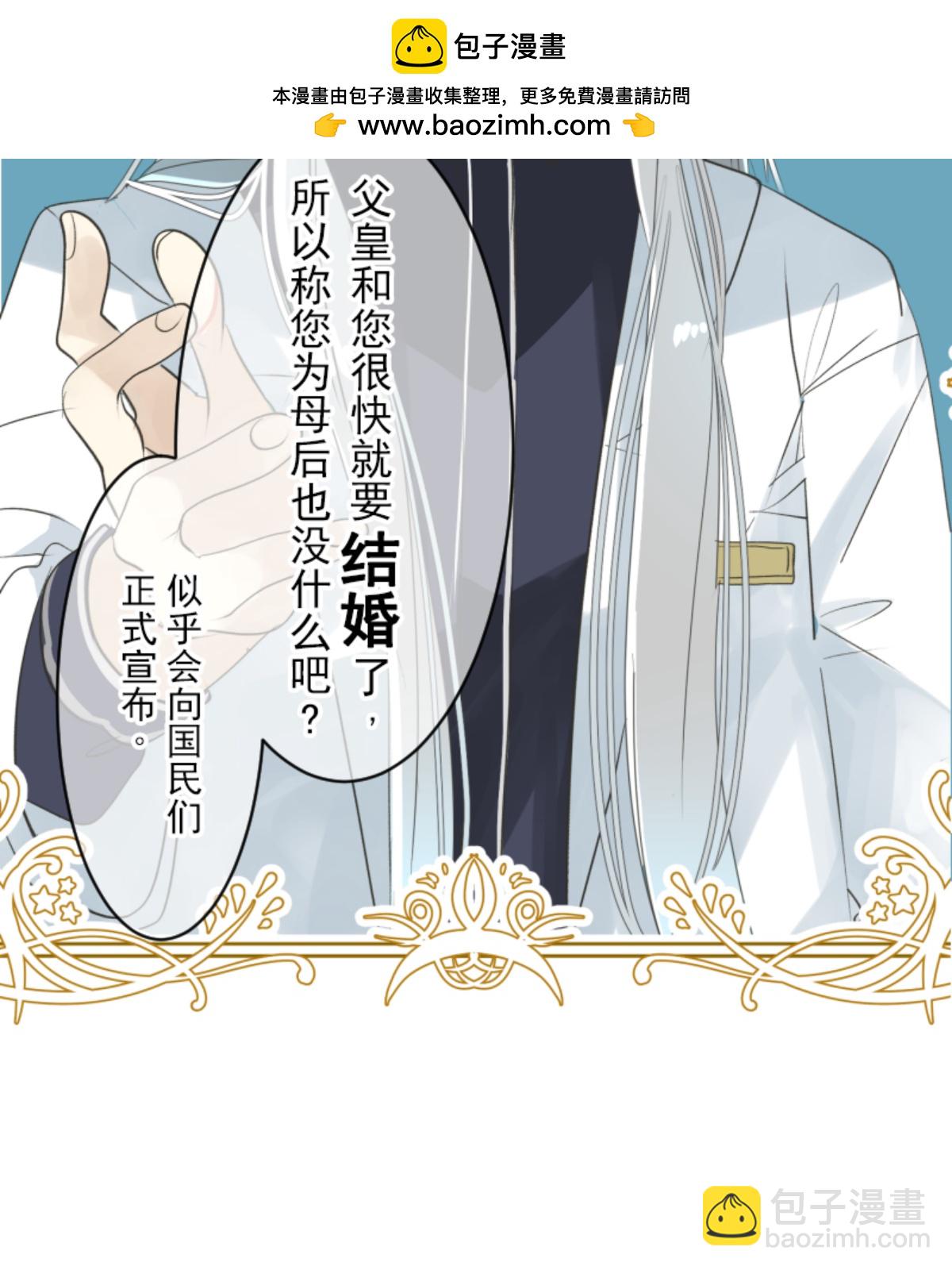 《他和她的魔法契约》皇帝要结婚 第2页