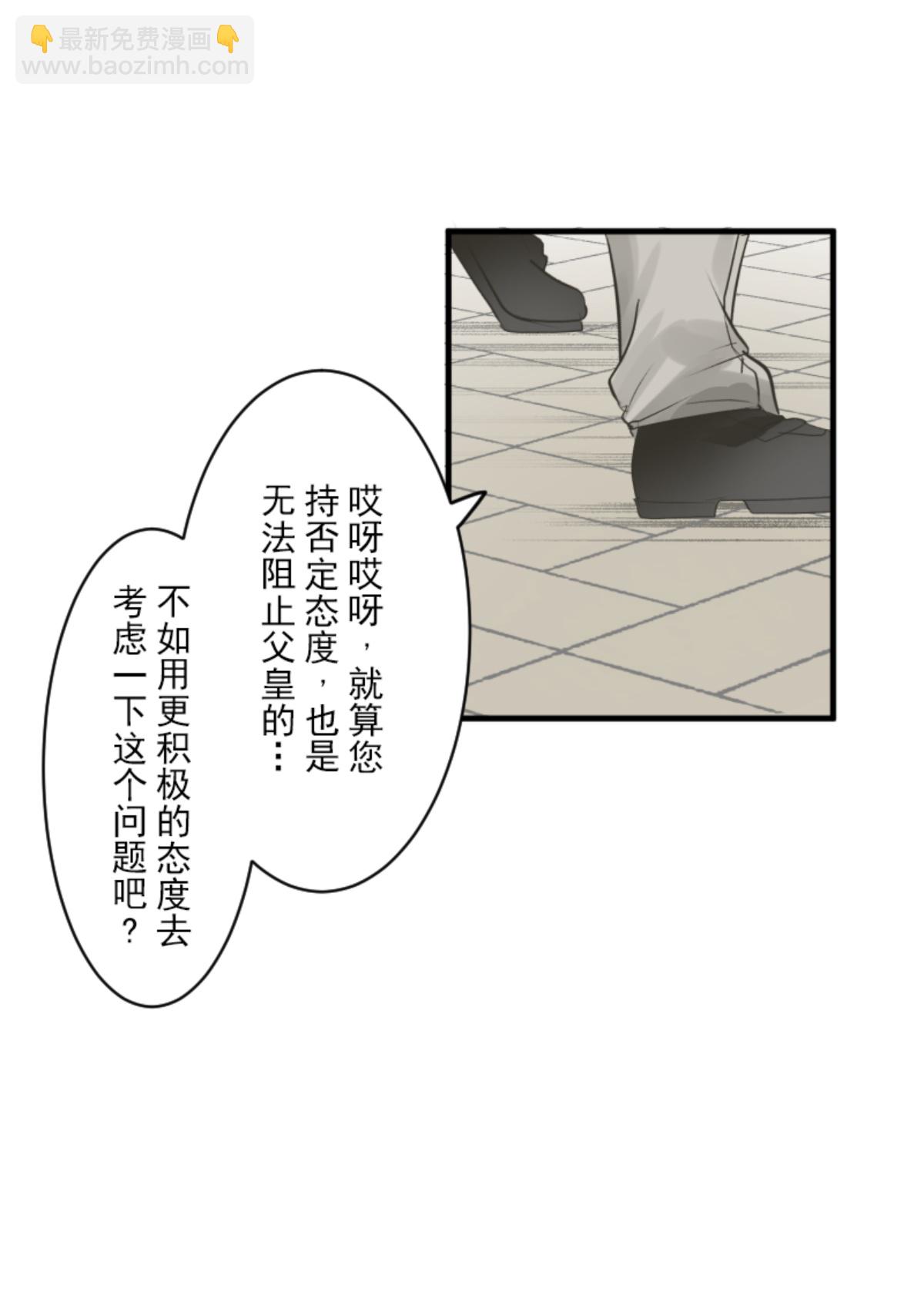 《他和她的魔法契约》皇帝要结婚 第9页