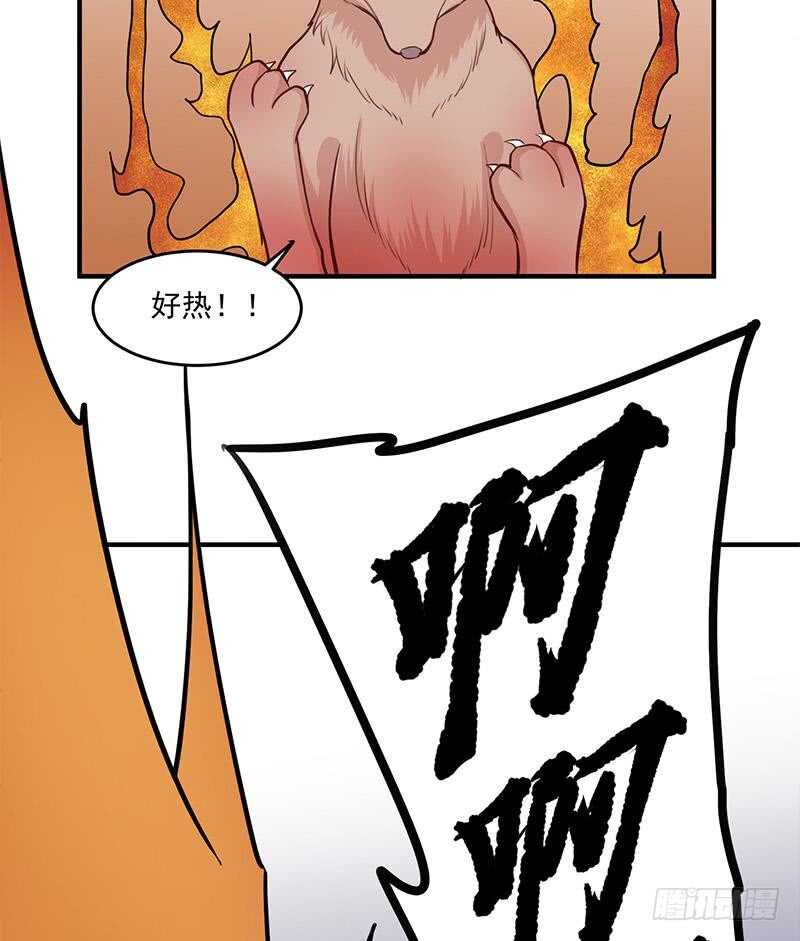 《一代诡妃》第256话 胡小毛进阶！ 第25页