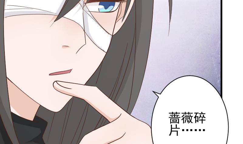 《血族总裁别咬我》第73话 蔷薇碎片 第5页