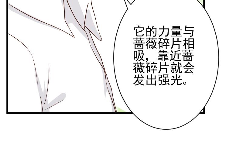《血族总裁别咬我》第83话 把蔷薇碎片带回来 第14页