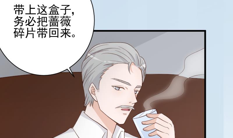 《血族总裁别咬我》第83话 把蔷薇碎片带回来 第5页