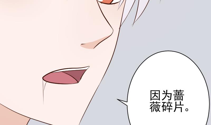 《血族总裁别咬我》第125话 危险与诱惑 第5页