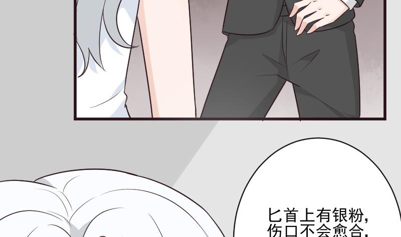 《血族总裁别咬我》第215话 我只要权力 第19页